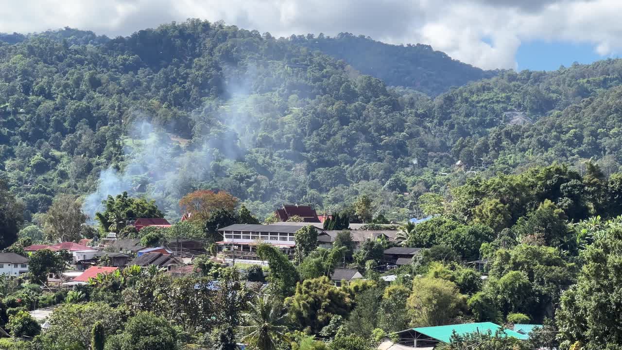 Forest fire in Northern Thailand Jungle Forest