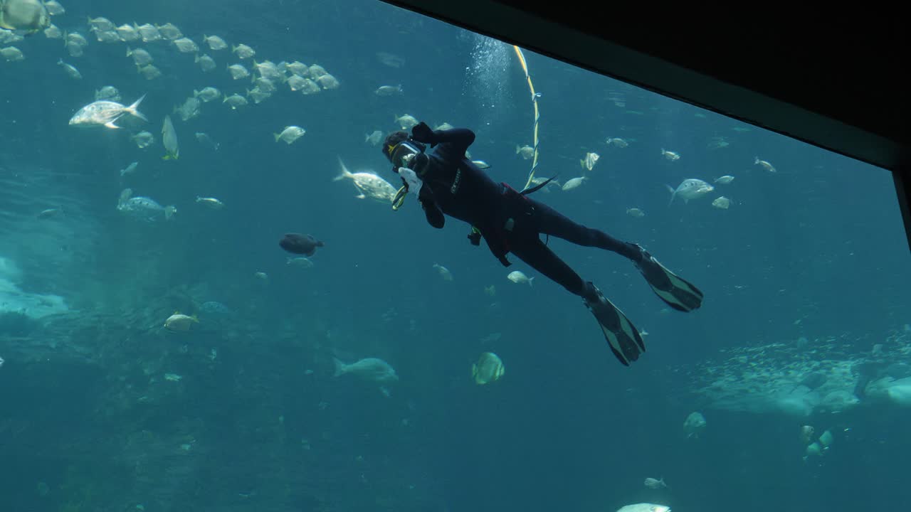 Surface supplied underwater diver in aquarium tank cleans the windows