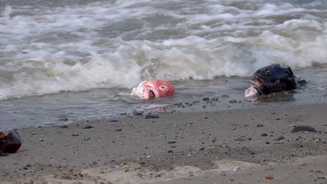 Blauflügelmöwen-Fressen-Fische,-Die-Am-Strand-Der-Halbinsel-Kenai-In-Alaska-Angeschwemmt-Wurden