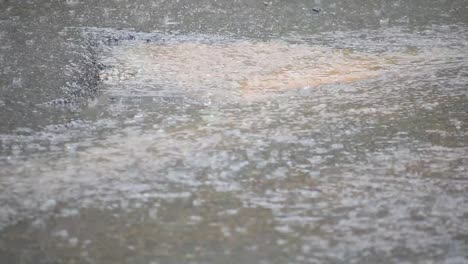 agua estancada durante la tormenta