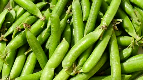 pea pods fresh greens rotating top view pea pods fresh greens rotating top view