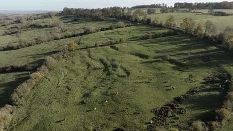 Norte-De-Cotswold-Campo-Otoño-Paisaje-Ganado-Animales-Campos-Colina-Vista-Aérea-Inglaterra