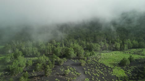 Unusual-landscape-with-low-clouds,-path-through-lava-hills-with-lush-vegetation-natural-contrast-between-gray-and-green-,-dark-peaks