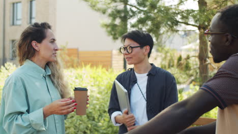 Gruppe-Multiethnischer-Kollegen,-Die-Im-Park-Chatten