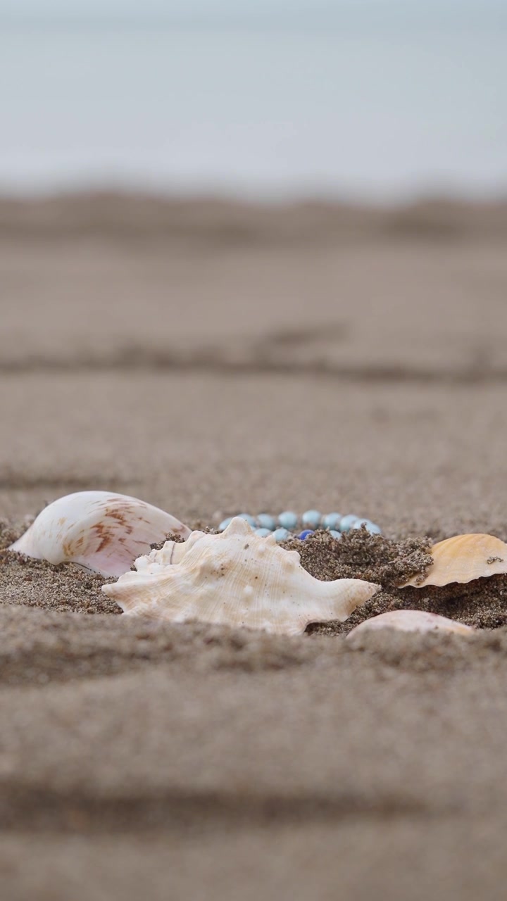 Seashells and Beaded Bracelet on Sandy Beach with Ocean Waves