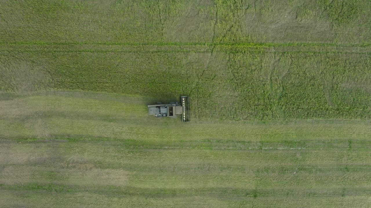 황색 밀을  ⁇ 는 수확기, 기계 뒤에 먼지 구름이 떠오르는, 식품 산업, 황색 수확 곡물 작물,  ⁇ 은 여름 날, 내려오는 새 눈 드론  ⁇