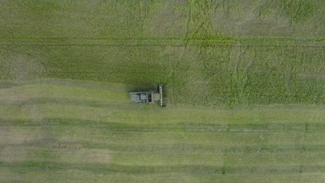 Aerial-establishing-view-of-combine-harvester-mowing-yellow-wheat,-dust-clouds-rise-behind-the-machine,-food-industry,-yellow-reap-grain-crops,-sunny-summer-day,-descending-birdseye-drone-shot