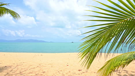 idyllic tropical island sandy beach with palm branches in front on cloudy day in the afternoon, vacation template