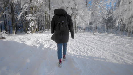 tourist-walking-a-forest-path-in-freezing-winter-towards-trees-covered-in-snow-and-frost