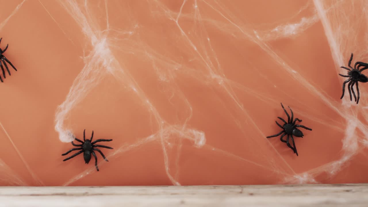 Video på halloweenspindlar och spindelnät med utrymme för text på orange bakgrund