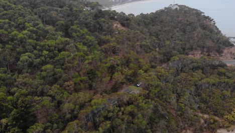 Tracking-drone-shot-of-car-travelling-through-empty-forested-road