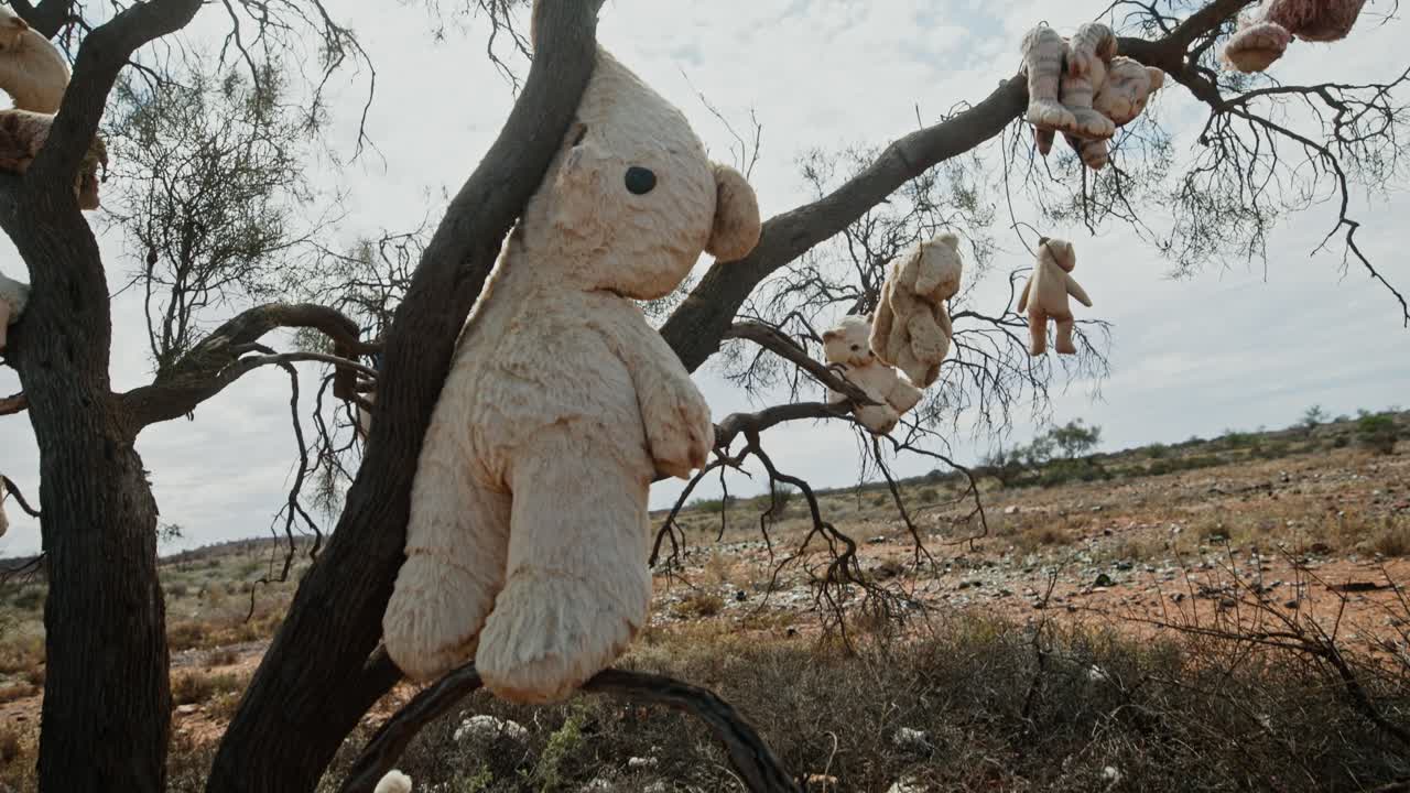 Strange Teddy Bears in outback - wide angle
