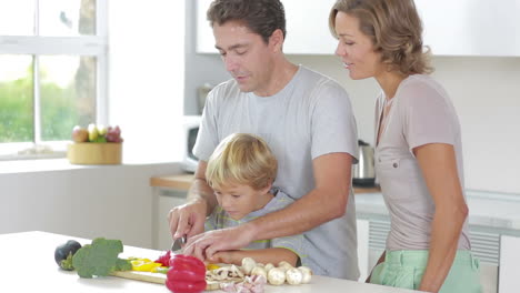 father teaching son to slice vegetables