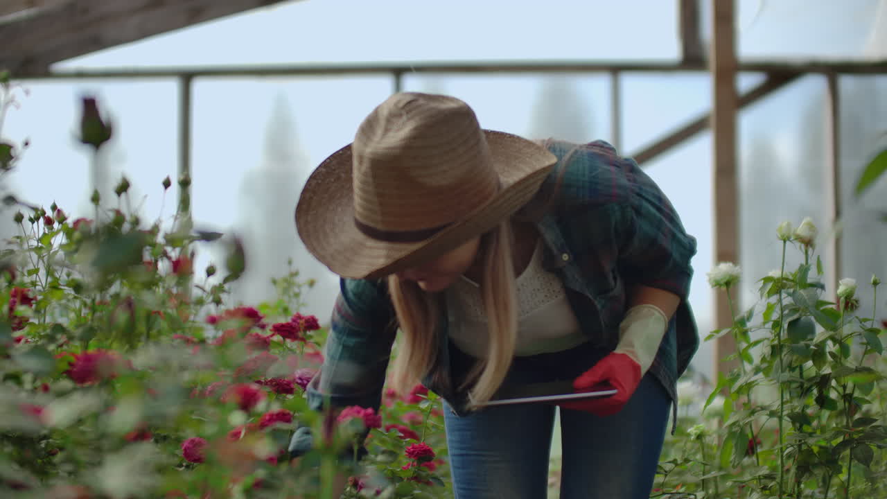 A florist with a tablet computer walks in a greenhouse and audits and checks flowers for small business accounting touch and watch plants