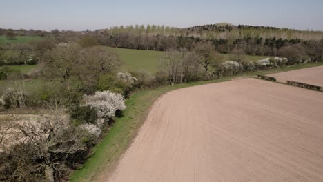 Campo-De-Flor-De-Cobertura-De-Primavera-Paisaje-Aéreo-Agricultura-Tierras-De-Cultivo-árboles-Warwickshire