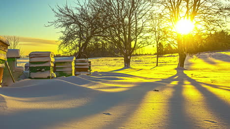 Zeitraffer-Des-Sonnenaufgangs-Im-Winter-In-Ländlicher-Gegend-Mit-Gelbem-Himmel-Und-Ziehenden-Wolken