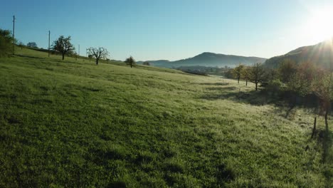 Luftaufnahme-Eines-Wunderschönen-Grünen-Feldes-Mit-Morgentau-An-Einem-Sonnigen-Tag-In-Der-Landschaft-Der-Schweiz