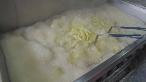 ready meal production line in a factory, the chef frying the french fries in a big fryer