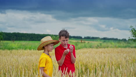 boys in the field. brothers standing among growing wheat and talking. teenage boy holds spikelet and looking on wheat grains.