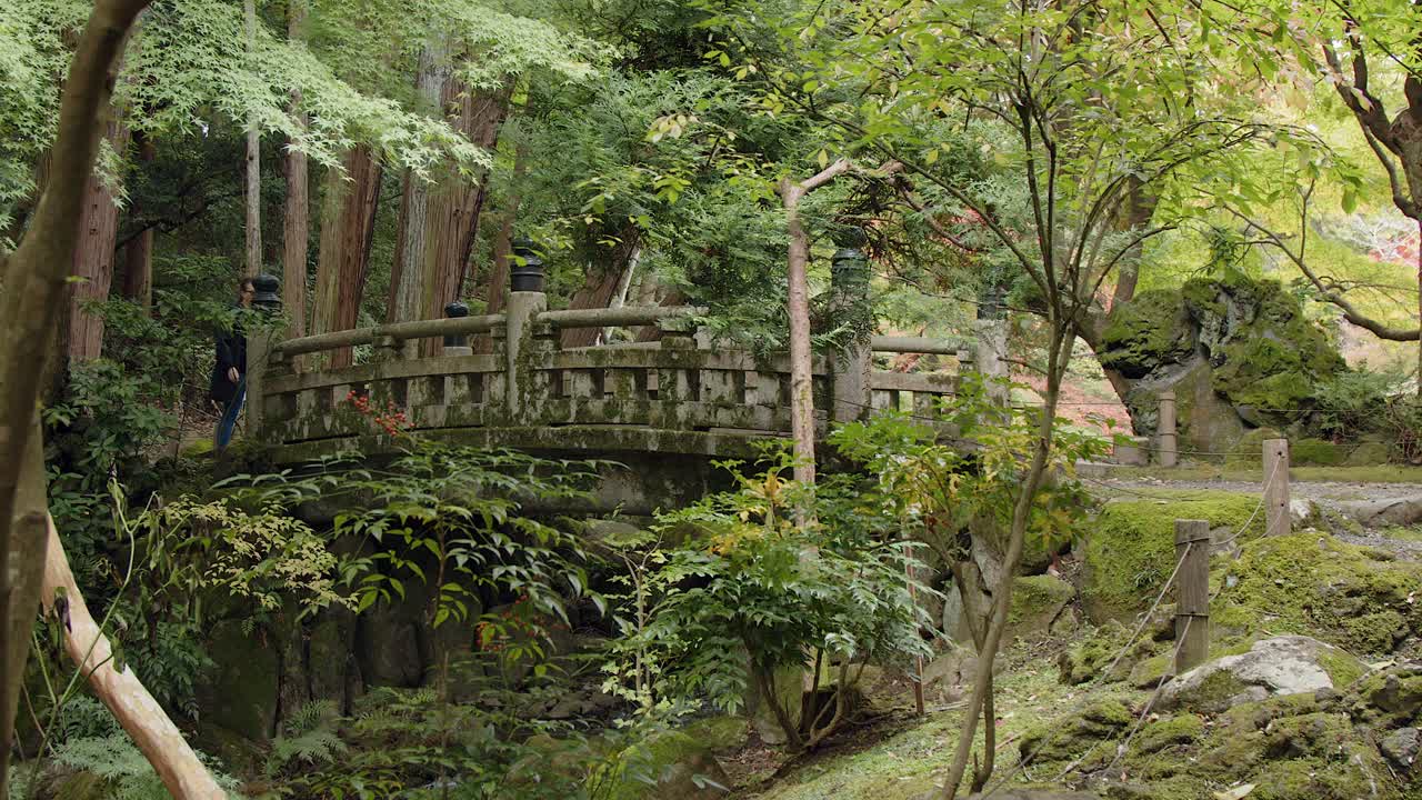 Caucasian ponytail woman crosses old stone bridge in mossy green park