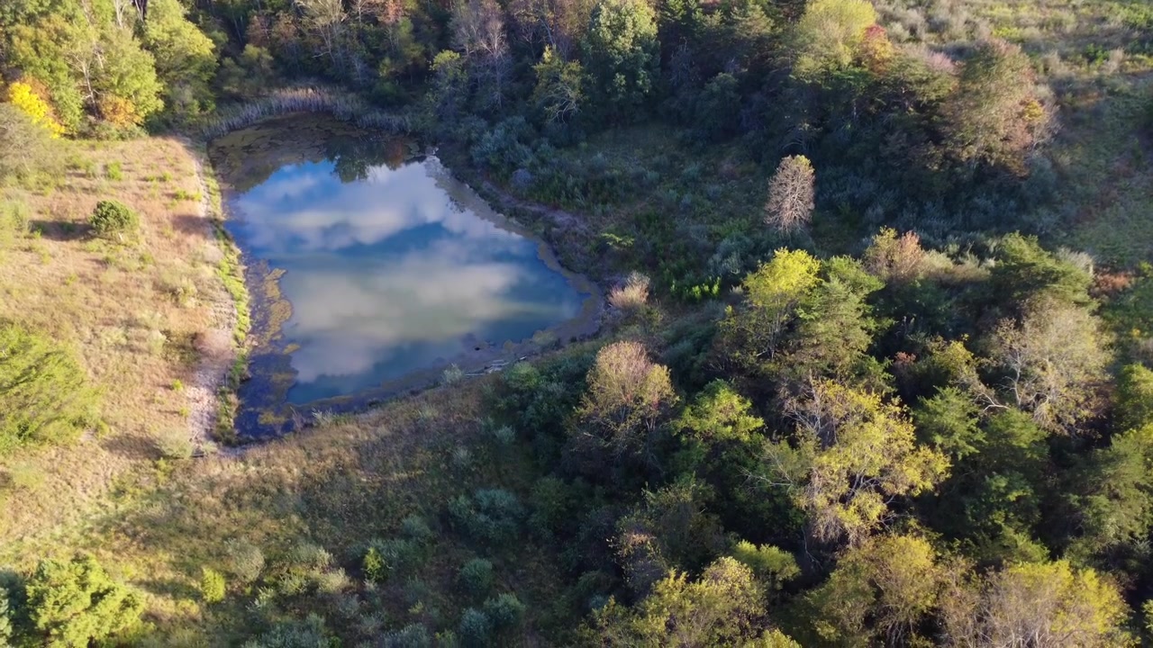 Nedgående droneoptagelse af en landlig dam på landet midt i en skov af træer.