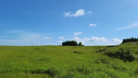 Berg-Bedeckt-Mit-Grünem-Gras-Mit-Blauem-Himmel-Am-Morgen