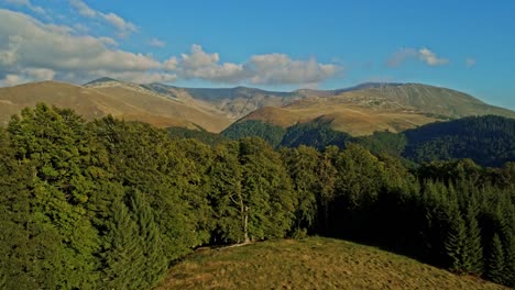 reveal aerial drone shot with tarcului mountains from a meadow