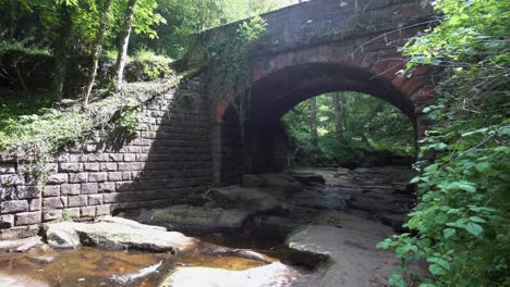 cloud of mosquitos under a bridge