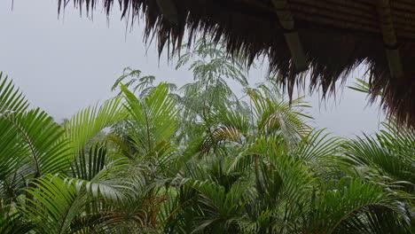 rainy day view through a tropical hut