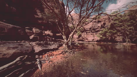 Río-De-Montaña-Y-Coloridas-Montañas-De-Colorado