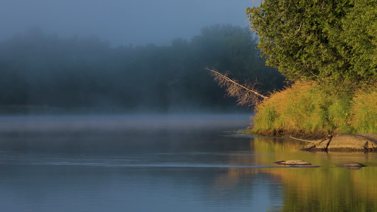 A magical view of the river and the wooded bank during the morning mist