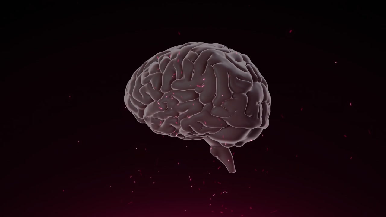 On playback, 3D brain model rotating, revealing frontal lobes for study while particles drifting