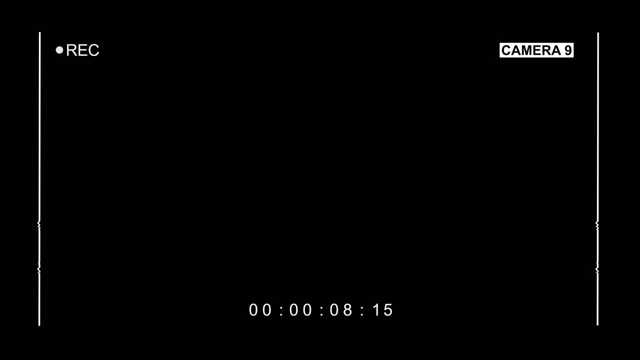 Security Camera Recording Interface with Timecode and REC Indicator