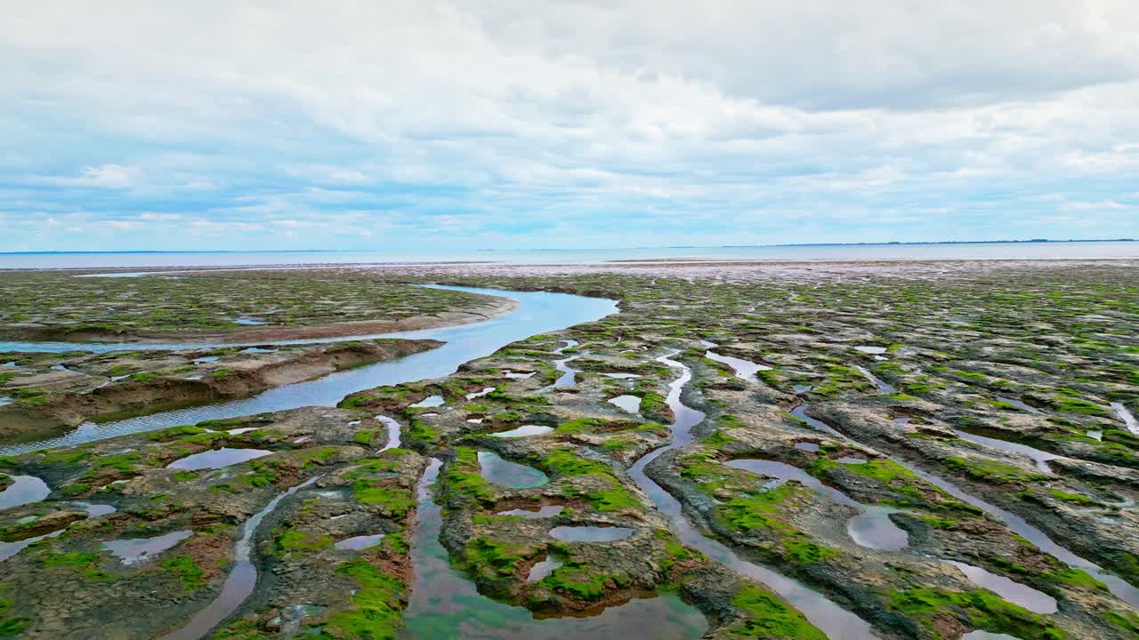 трещины в грязевых плоскостях в соленом болоте