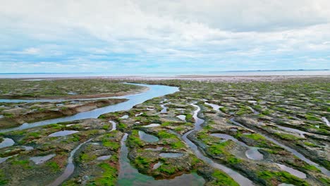 Rissige-Wattenmeer-In-Einer-Salzwiese