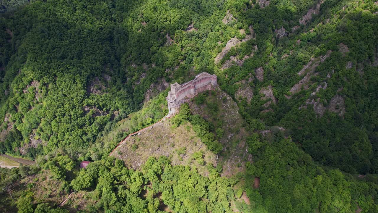 vista de la mañana brumosa de la histórica ciudadela de poenari en un acantilado, con vistas a un denso bosque