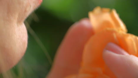 beautiful young blonde woman with pretty face smelling yellow flower in nature