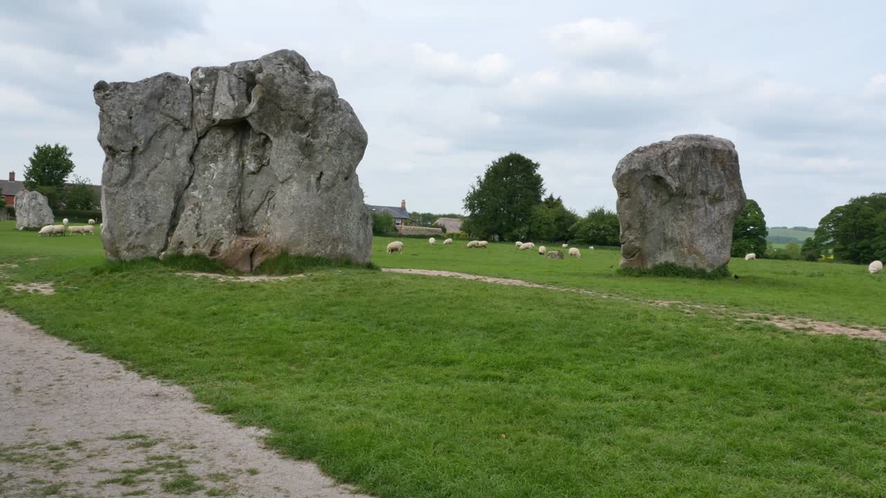 овцы пасутся на каменном круге авебери, неолитический памятник в англии