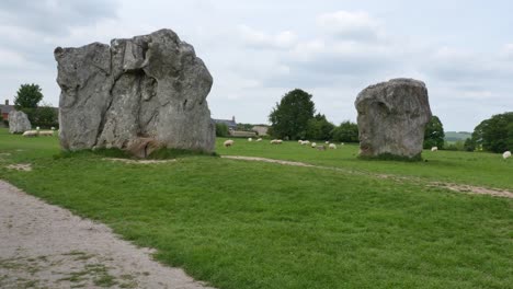 las ovejas pastando en el círculo de piedra de avebury, monumento neolítico inglaterra