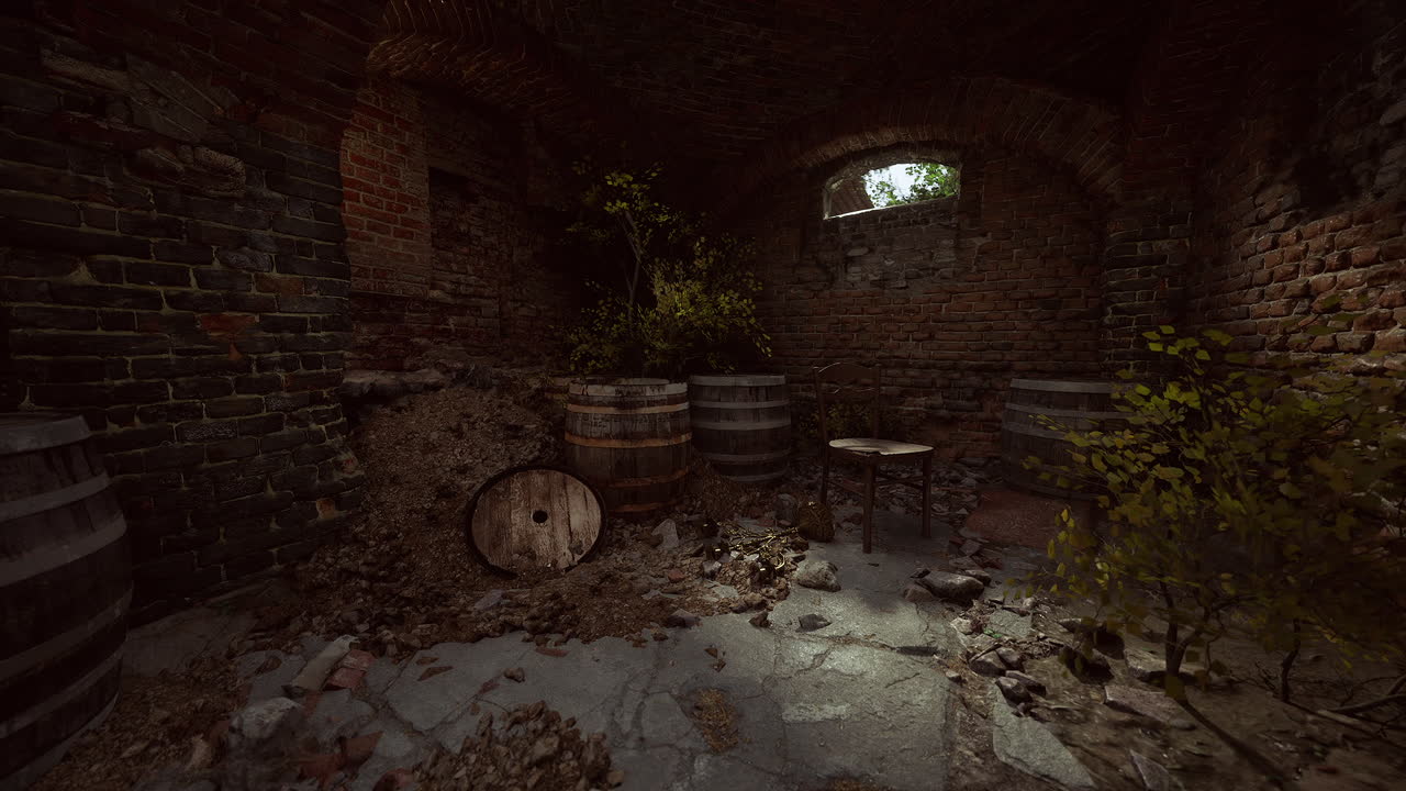 Dark, Ancient Cellar with Wine Barrels