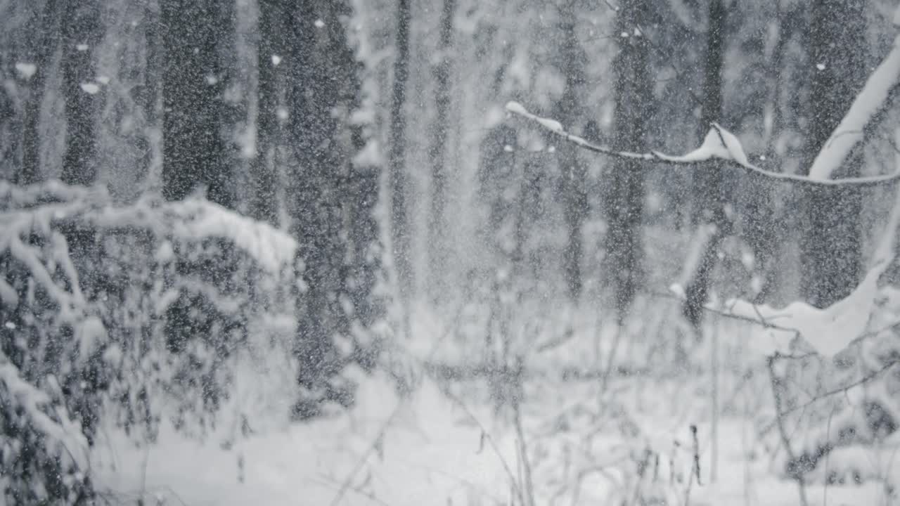 paisaje de invierno durante las nevadas. fondo abstracto de navidad de invierno en súper cámara lenta.