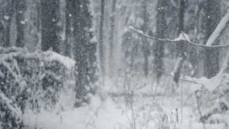 Winterlandschaft-Bei-Schneefall.-Abstrakter-Hintergrund-Für-Winterweihnachten-In-Superzeitlupe.