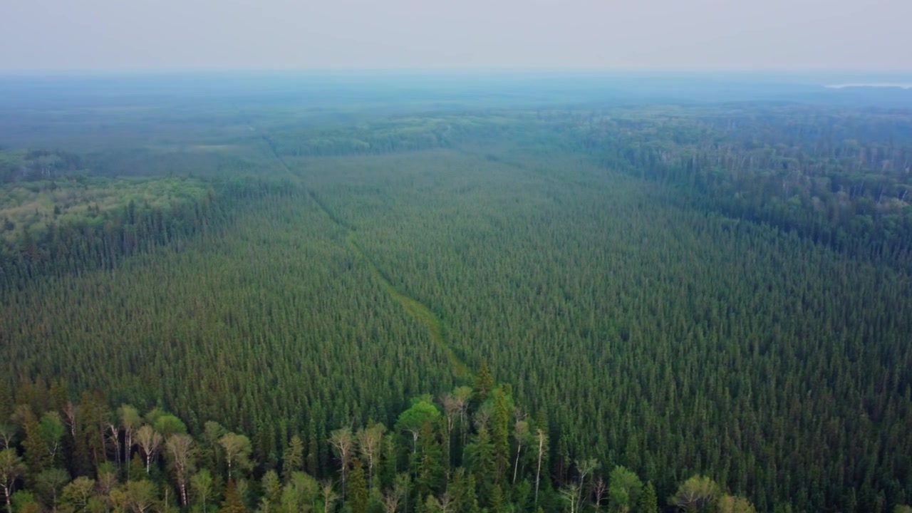 Laaja boreaalinen metsämaisema usvaisten taivaiden alla