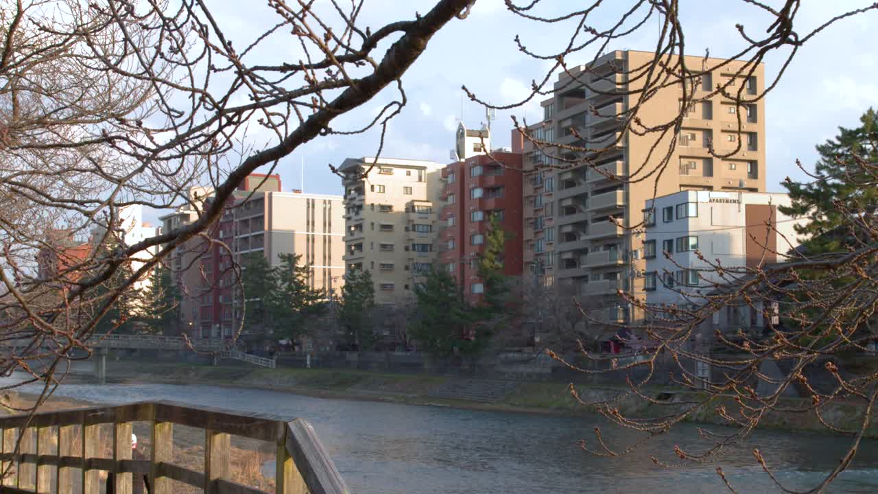 Powolne ujęcie panoramiczne wzdłuż brzegu rzeki Asano z kwitnącymi wiśniami i budynkami.