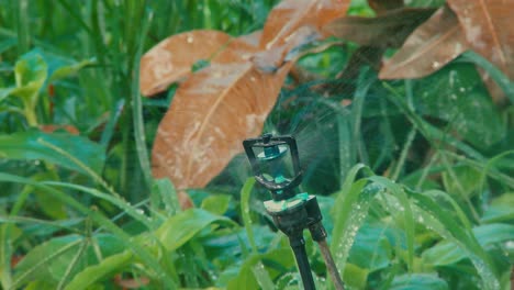 close up shot of a lawn spinkler surrounded by green plants