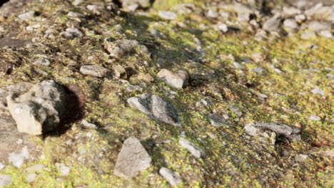 close up of rocky stones formation