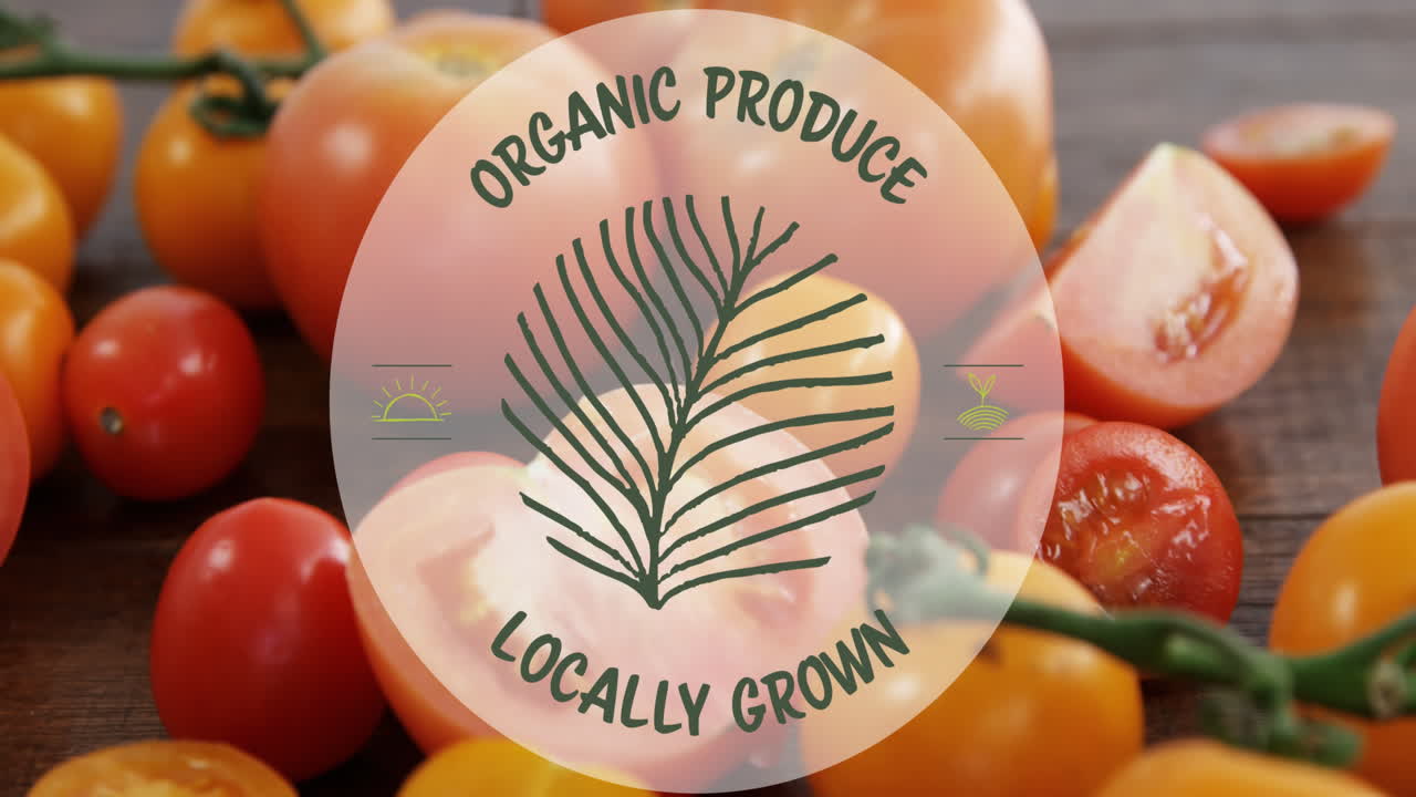 신선한 토마토 위에 채식주의 텍스트의 애니메이션