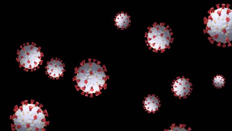 animación de células de coronavirus que giran sobre un fondo negro