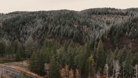 pine woods along sawtooth mountains state route in idaho, usa