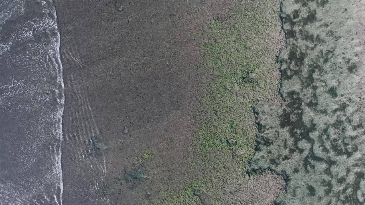 drone de alta altitud que desciende de arriba hacia abajo disparado sobre el arrecife de coral de marea baja en uluwatu bali indonesia
